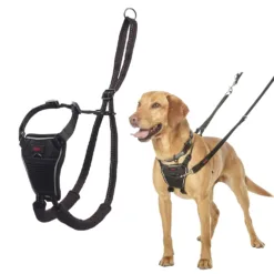 No‑Pull Harness – Pet (Necklace & Leash)